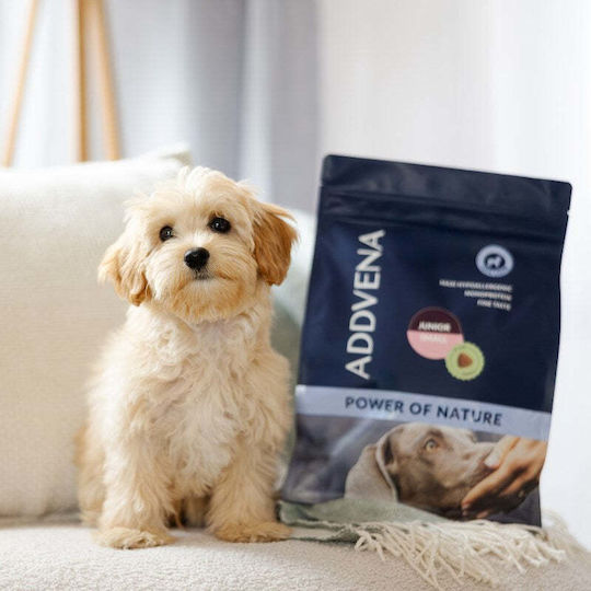 Nature 2.5kg Dry Dog Food for Small Breed Puppies