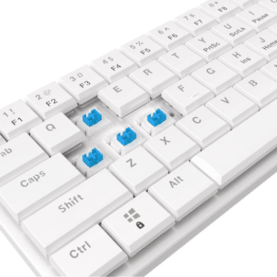 White Shark GK-006221 Gaming Μηχανικό Πληκτρολόγιο με RGB φωτισμό (Αγγλικό US) Μπλε