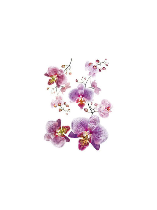 Kids Decorative Wall Sticker 65x85cm