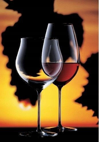 Zwiesel Glas Set Brillen aus Glas 750ml 2 Stück