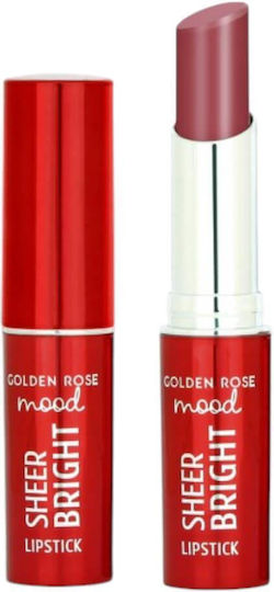 Golden Rose Pencil Κραγιόν 107 Mood Mauve 3.3gr