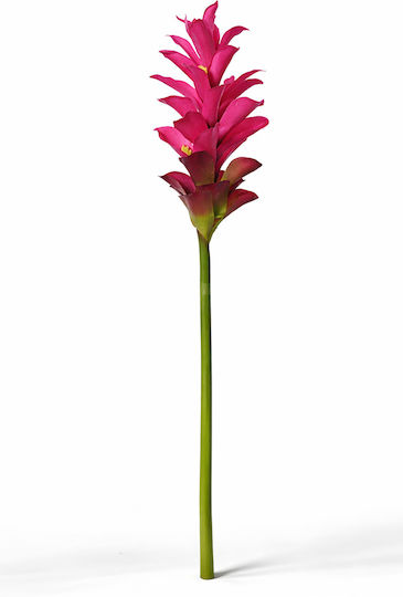 Ginger Flower 12x12x75cm Fuchsia Kaeming Ginger Flower 12x12x75cm Fuchsia Kaeming
