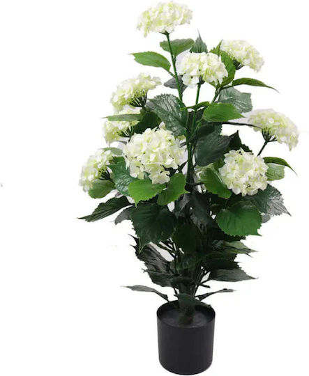 Decorative Plant In Pot Rossima Hydrangea
