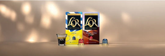 L'Or Espresso Caramel Capsules Compatible with L'Or Machine 10caps