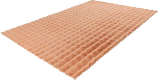 Wohnzimmer Teppiche Flur Baumwolle Pfirsich 80x150cm