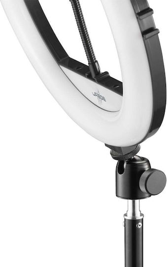 Urage LED Streaming Лампа Триножник "streamlight 900" 12"