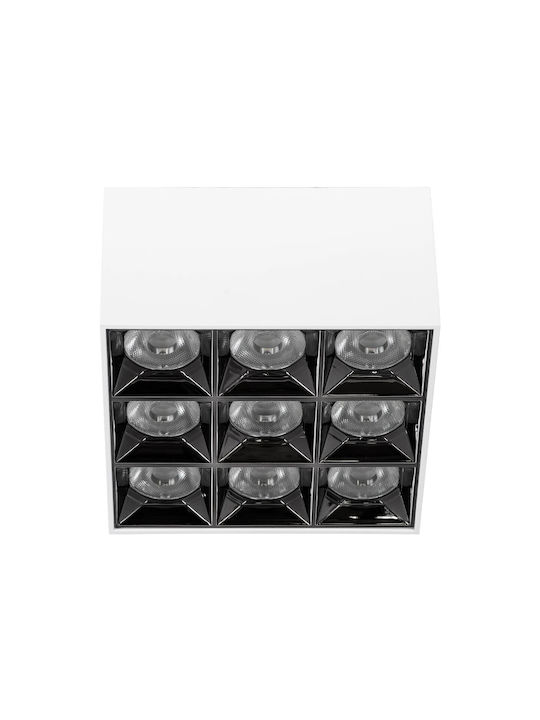 kelvo LED Natürliches Weiß Spot mit 12 Lichtern in Weißer Farbe