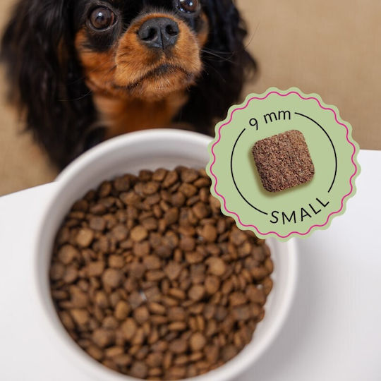 Dog Food 2.5kg Ξηρά Τροφή χωρίς Σιτηρά για Κουτάβια Μικρόσωμων Φυλών με Βοδινό