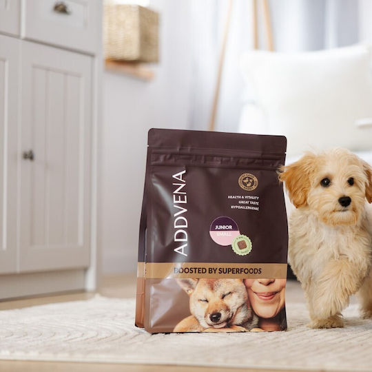 Dog Food 2.5kg Ξηρά Τροφή χωρίς Σιτηρά για Κουτάβια Μικρόσωμων Φυλών με Βοδινό