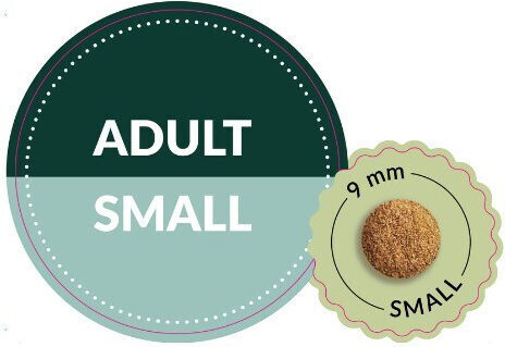 Dog Food 2.5kg Dry Food for Adult Small Breed Dogs with Turkey