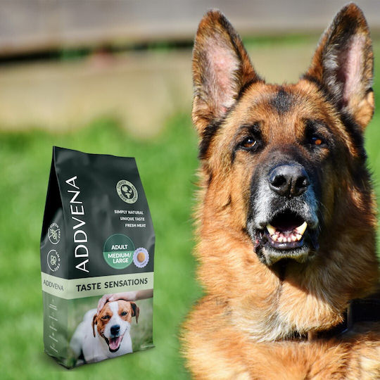 Dog Food 2.5kg Dry Food for Adult Medium and Large Breed Dogs with Turkey
