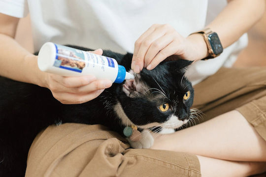 Virbac Epiotic Почистващ Лосион За Уши Течен За Кучета Котки 60 Мл