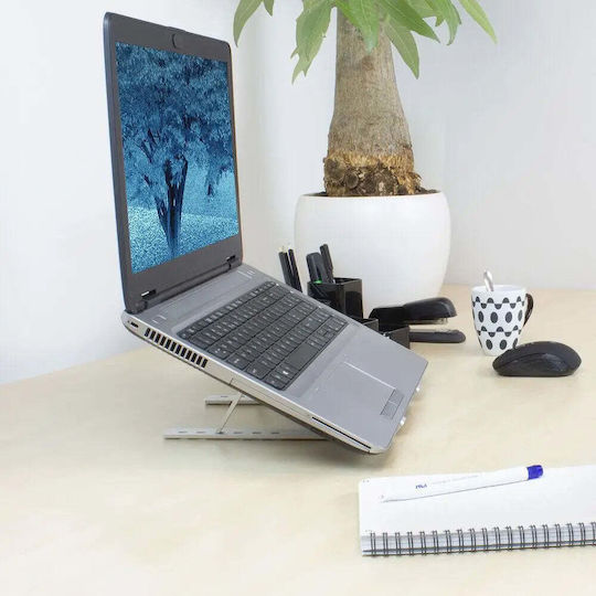 Act Stand für Laptop bis zu 15.6" Weiß (AC8120)