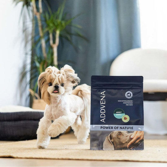 Nature 10kg Dry Dog Food with Lamb