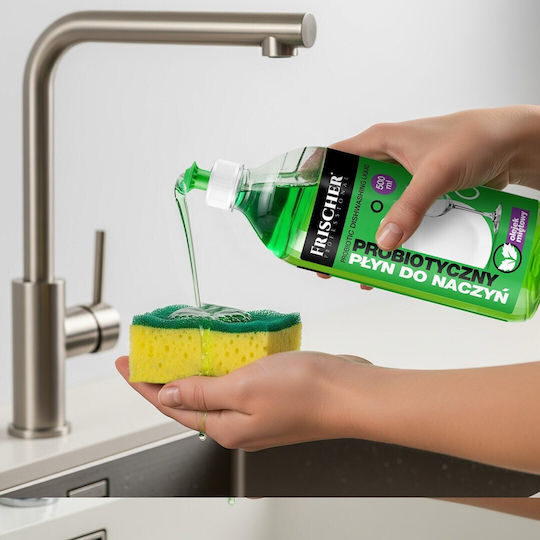 Frischer Washing-Up Liquid 500ml