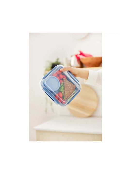 Rotho Babydesign Plastik-Mittagsbox 1,7l