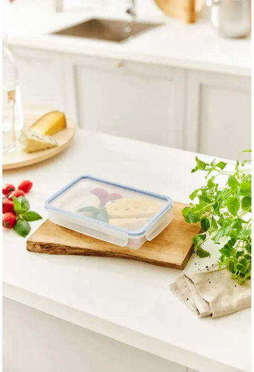 Rotho Babydesign Koziol Kunststoff Mittagsbox 1lt