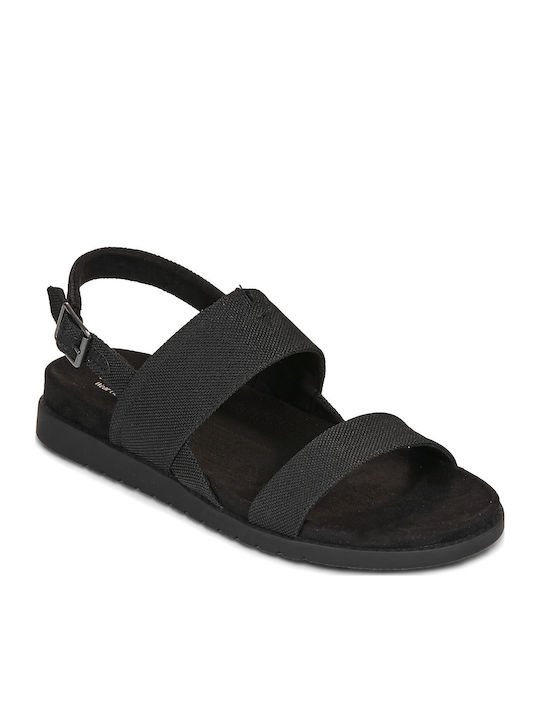 Toms