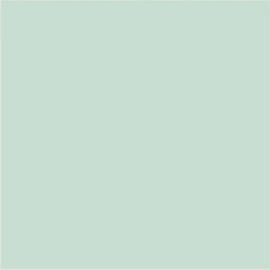 Interior Paint Silicone Weeping Willow 2.5 L Aquis