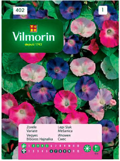 Ipomea Seeds Mix
