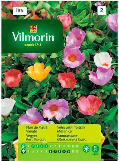 Caldarache Mix Seeds