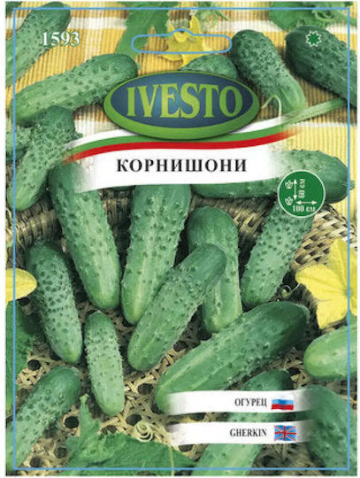 Moxie F1 Ivesto Gherkin Seeds