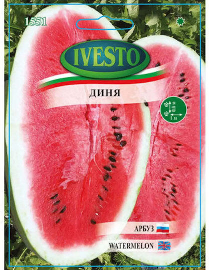 Ivesto Melone Samen