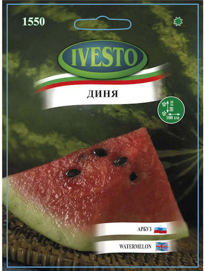 Ivesto Melon Seeds