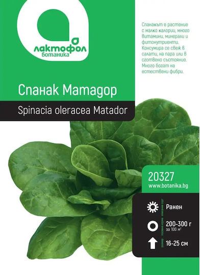 Spinach Seeds Matador Botanic