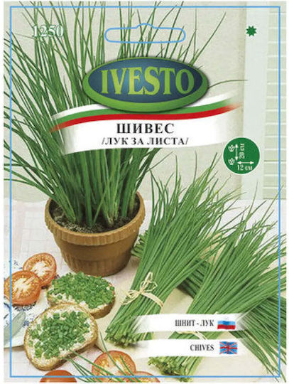 Ivesto Zwiebelblatt Samen