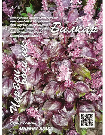 Basil Seeds Red Bilkar