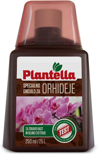 Top Plantella Orchids 250ml