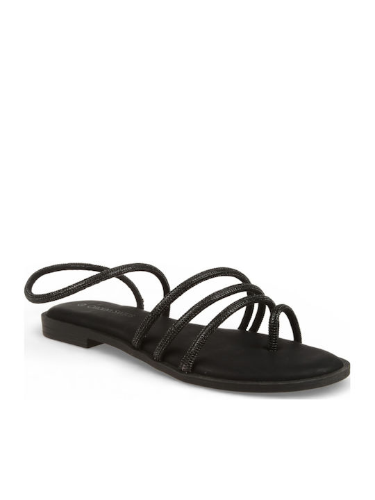 Carolina Santos Carolina Santos