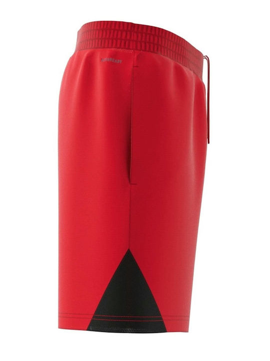 Badge of Sport Herren Shorts Rote