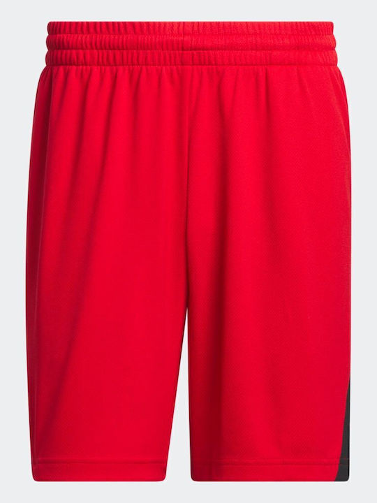 Badge of Sport Herren Shorts Rote