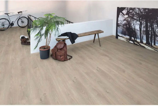 Laminated Flooring Egger Oak Silver H2637 10.00 Mm 32/ac4 Bevel