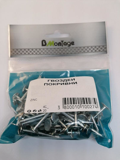 Roofing Nails 2.5x25 200g Bm