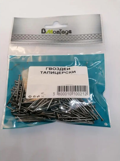 Upholstery Nails 2.5x30 100g Bm