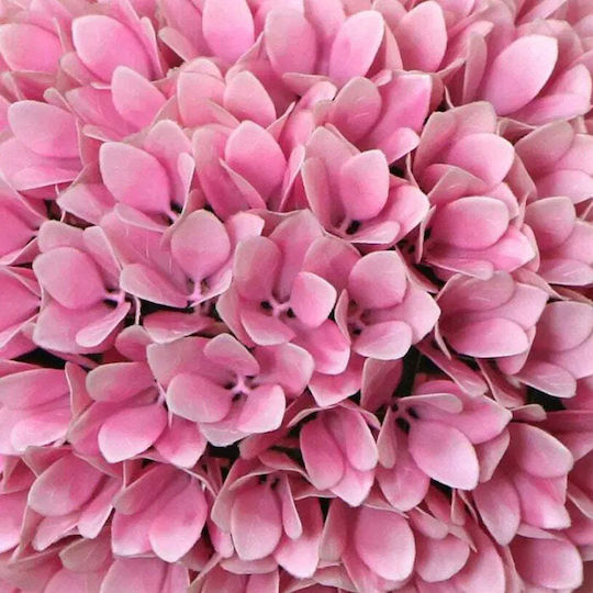 Minge Decorativă 27cm Hortensia Roz Rossima