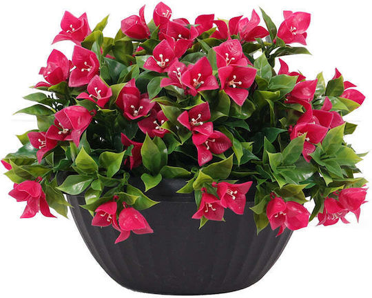 Decorative Greenery Hanging Basket Rossima Bougainvillea