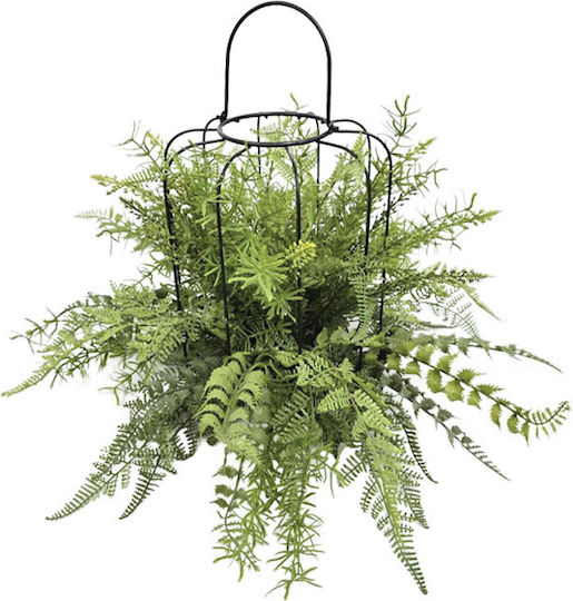 Fern in Pot Marhome