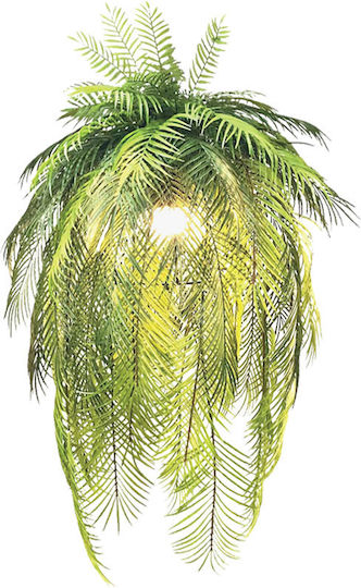 Fern Potted Plant Marhome