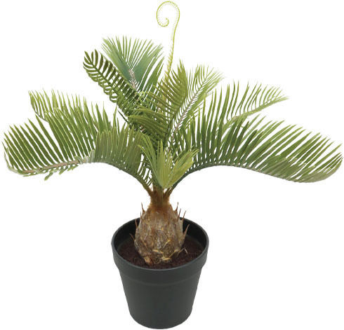 Outdoor Marhome