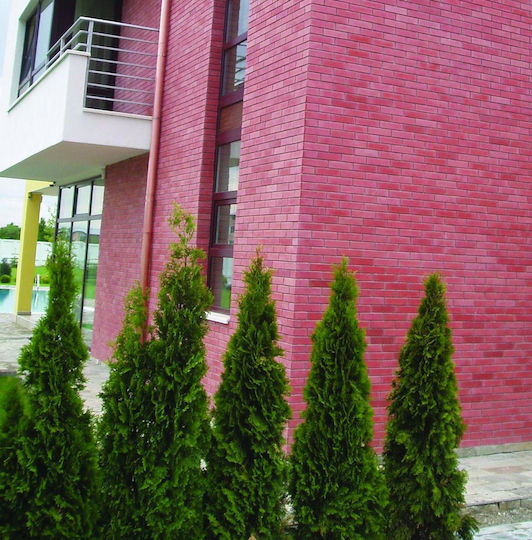 Facade Brick 24 X 6 X 2 Red