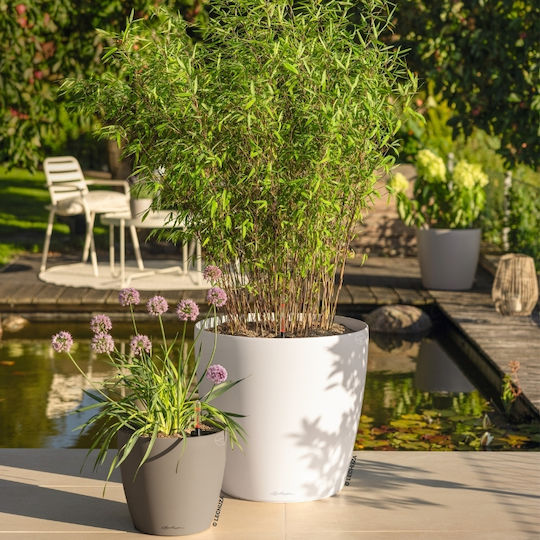 Lechuza Classico Αυτοποτιζόμενη Γλάστρα Sand Brown 50x50x46εκ.