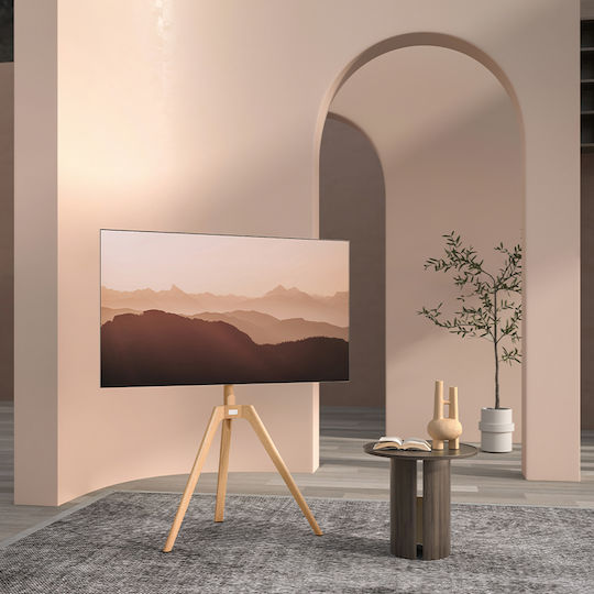 Jolly Line DTM-3270 TV Mount Floor up to 70" and 40kg Silver