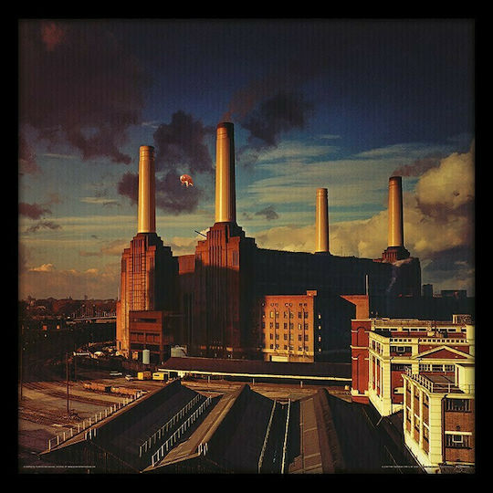 Pyramid International Pink Floyd