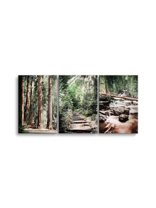 Decowalls Трикратен Картина Платнен 60x120см