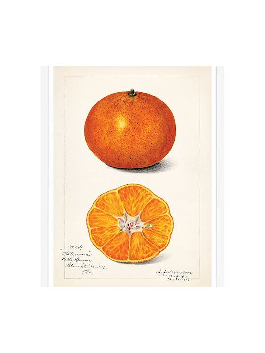 Walls Orange Rahmen Holz 20x30cm