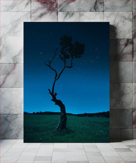 Lone Tree Under Starry Night Μοναχικό Δέντρο Κάτω Από Την Έναστρη Νύχτα σε Καμβά